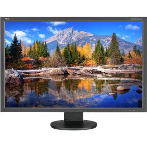 NEC Display MultiSync EA304WMi-BK 30 GB-R