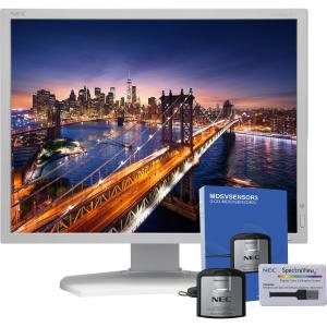 NEC Display MultiSync P212-SV 21 