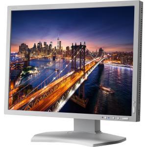 NEC Display MultiSync P212 21.3 