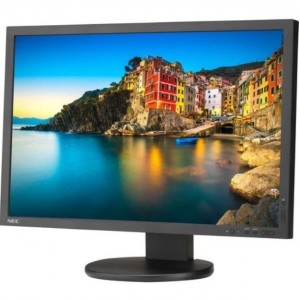 NEC Display SpectraViewII P243W-BK-SV