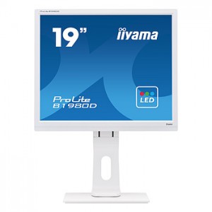 iiyama 19" ProLite B1980D-W1