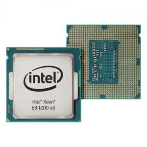 Intel Xeon E3-1225 v3 Quad-core (4 Core) 3.20 GHz (CM8064601466510)