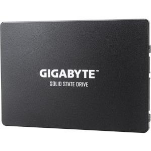 Gigabyte 256 GB GP-GSTFS31256GTND