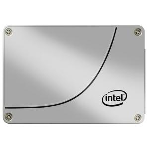 Intel SSDSC2BA100G301