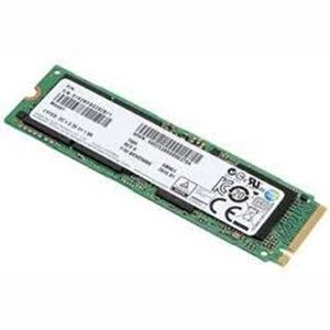 Lenovo 256 GB 4XB0N10299