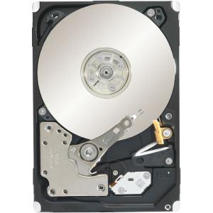 Seagate -IMSourcing Constellation.2 ST91000640NS 1 TB