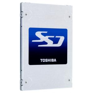 Toshiba THNSNJ256GBSU