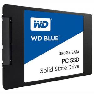 WD Blue WDBNCE2500PNC 250 GB SSD (WDBNCE2500PNC-WRSN)