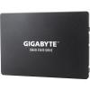 Gigabyte 256 GB GP-GSTFS31256GTND