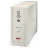 APC Back-UPS RS 800VA 230V